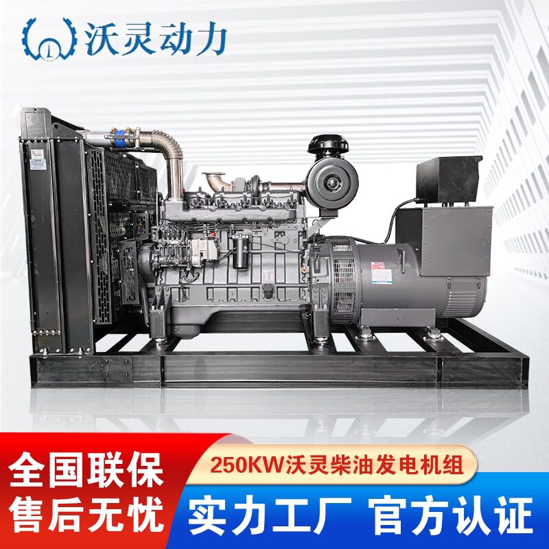 上海沃灵动力发电机250KW全铜无刷柴油发电机组上海斯坦福电机