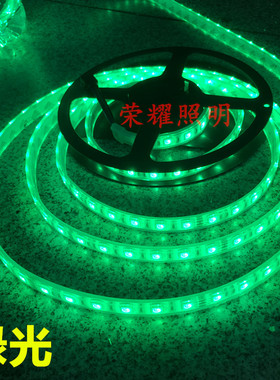 led灯带24V灌胶水底12V5050海底防水超高亮白色七彩泳池软灯