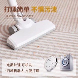 高级感免洗可擦沙发卧室地垫防水耐脏地垫 轻奢风客厅地毯2025新款