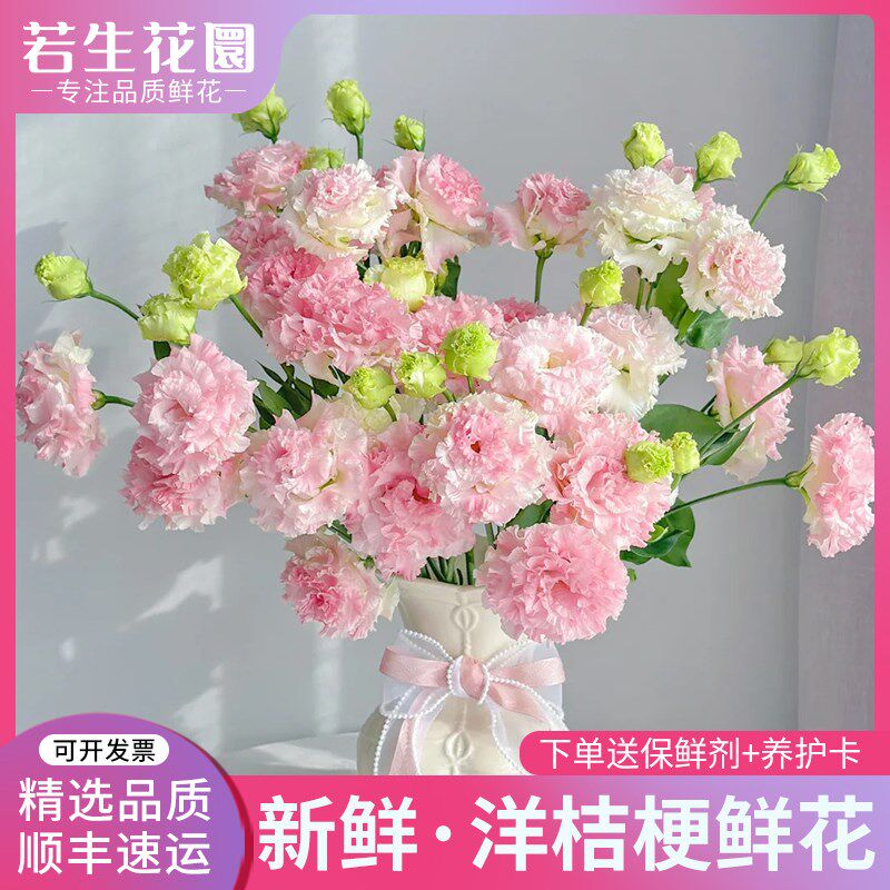 洋桔梗鲜花紫粉白绿边家用插花水养花束无刺玫瑰鲜切云南基地直发