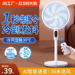 电风扇落地扇大风力落地式 2024新款 家用无声超静音台立两用出租屋