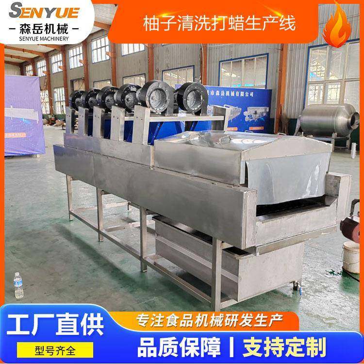 柑橘全自动洗果机水果清洗打蜡设备柚子清洗机柠檬清洗机选果机,清洗/食品/商业设备,其他食品加工设备,淘宝优惠券,粉丝福利购,淘宝优惠卷