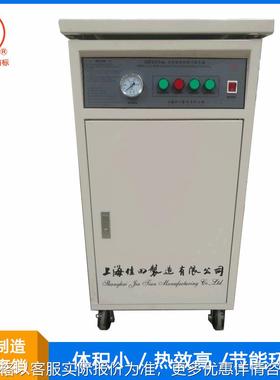 电加热蒸汽发生器 DZFZ-6/3 6/3KW自动转换 上海