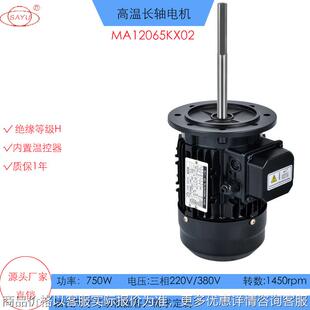 锂电烤箱750W耐高温长轴电机X02工业烤箱电机380V实验设备电机