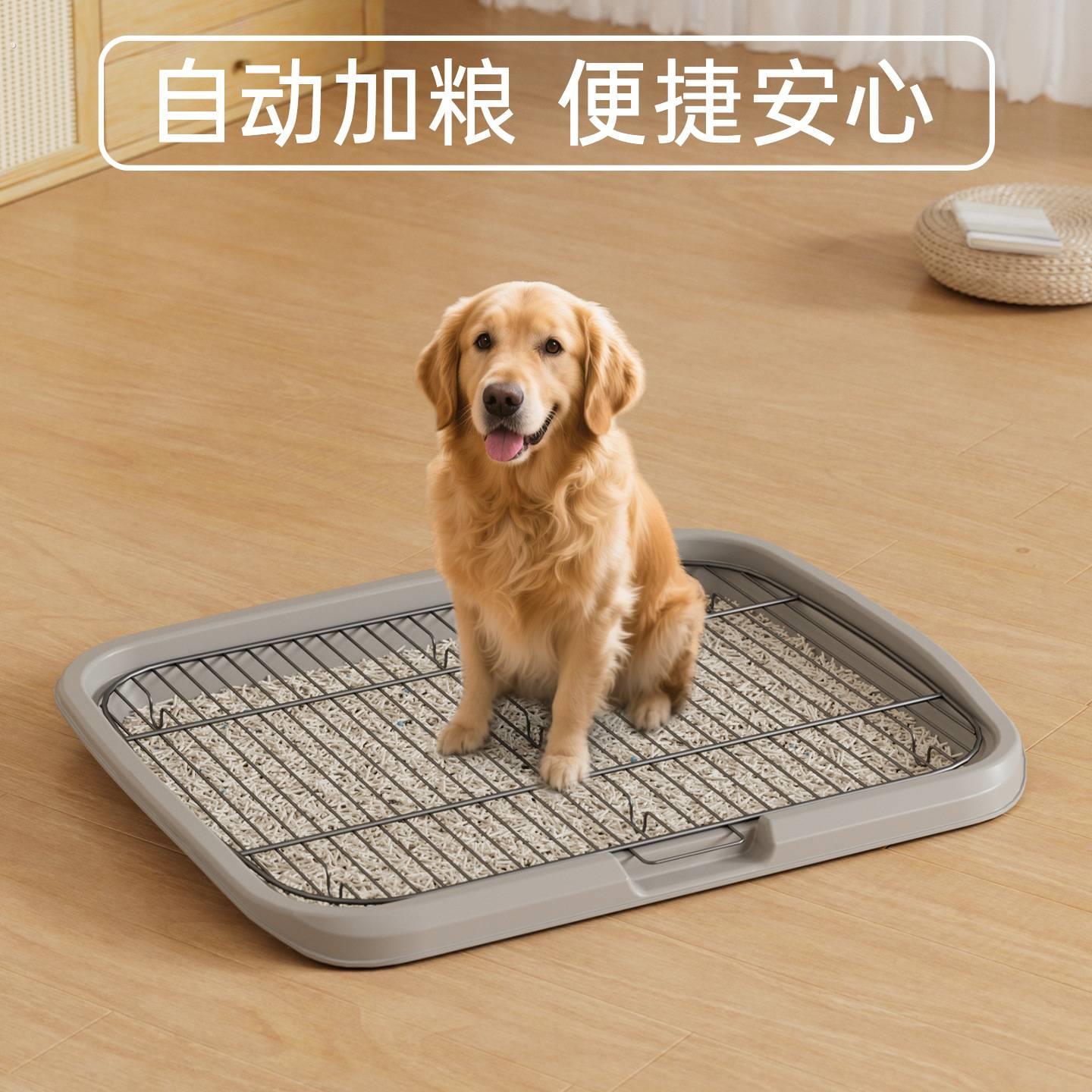 超大号平板铁狗厕所小中大型犬狗盆易清洗防踩屎狗尿盆宠物用品