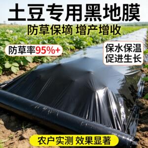 土豆专用黑色地膜加厚小菜园盖菜防长草农用种植辣椒薄膜定制