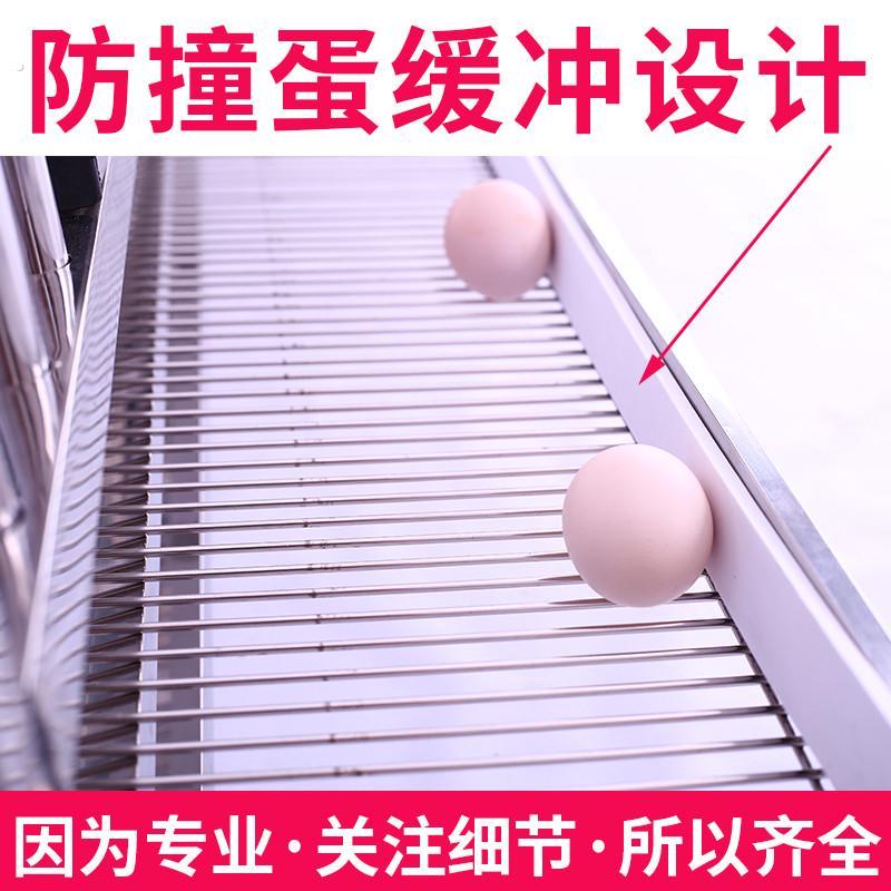不锈钢滚蛋笼自动蛋鸡笼鸡家用大号特大笼子带粪盘宠物加粗鸡鸭笼