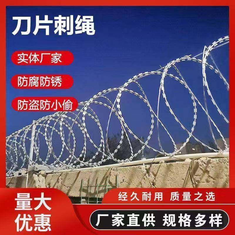 热镀锌刀片刺绳监狱边境护栏网双股金属丝绳围墙刺丝滚笼防盗绳网,金属材料及制品,金属丝/绳/缆,淘宝优惠券,粉丝福利购,淘宝优惠卷