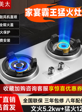 奥田美太新型家宴霸王猛火灶12kw别墅厨房燃气灶家用商用台嵌两用