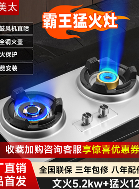 奥田美太系列家宴霸王猛火灶商用家用猛火燃气灶12KW饭店台嵌两用