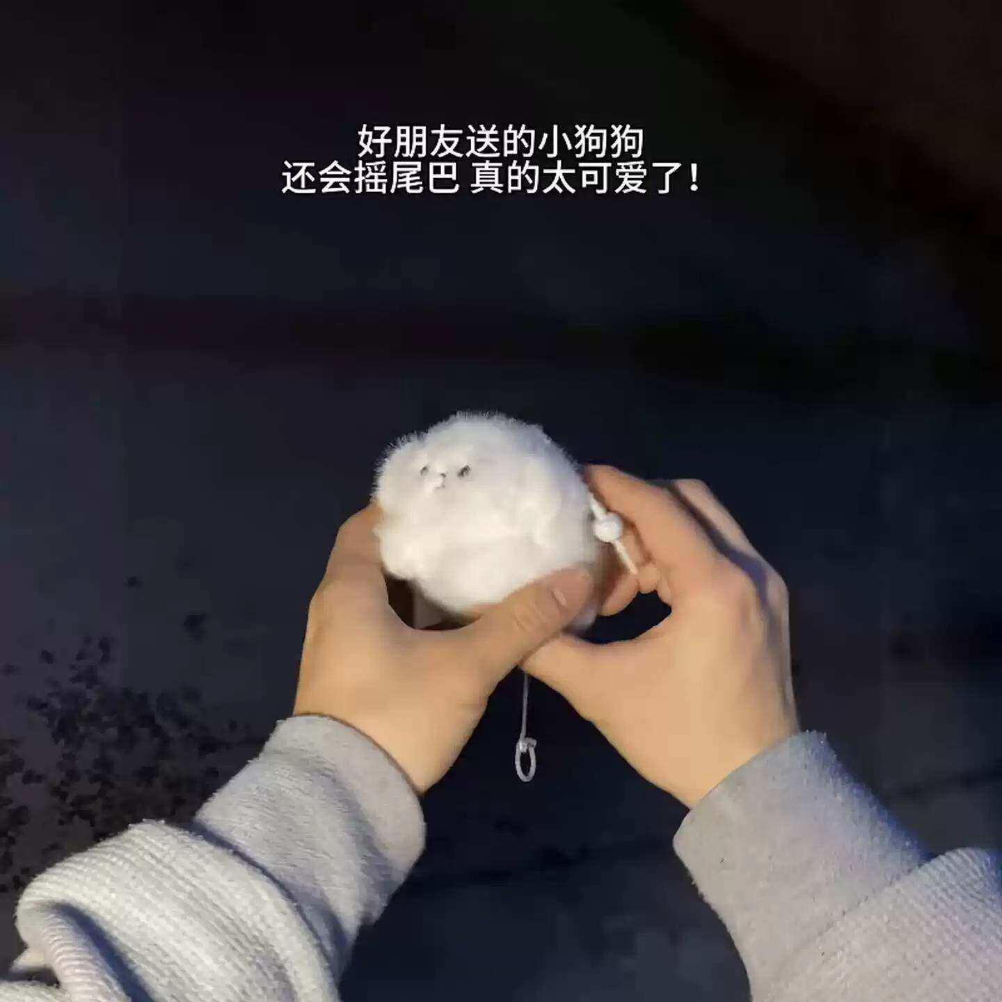 可爱毛绒小狗挂件拉绳摇尾巴卡通公仔创意玩偶背包挂饰礼物送朋友