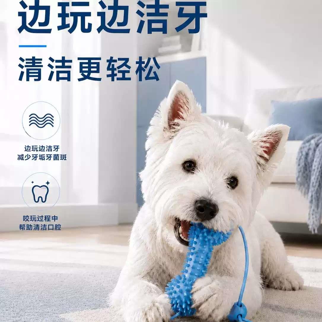 狗狗刷牙辅助神器新款磨牙洁齿橡胶玩具互动口腔清洁清除牙垢