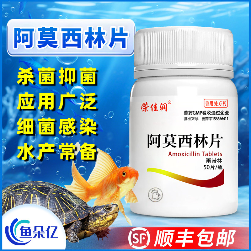 阿莫西林片水族鱼药疾病乌龟观赏鱼专用药片白眼腐皮烂甲烂身肠炎