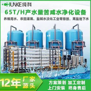 金属中水回用微滤系统工业零排放反渗透装 电镀 养殖 印染 置 铝材