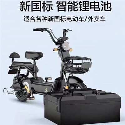 48V60V锂电池台铃o新日爱玛五羊替换铅酸改锂12A20AH新国标电动车