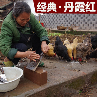 丹霞红天然大h号家用菜刀磨刀石厨房油石浆石粗磨石开刃磨刀器棒