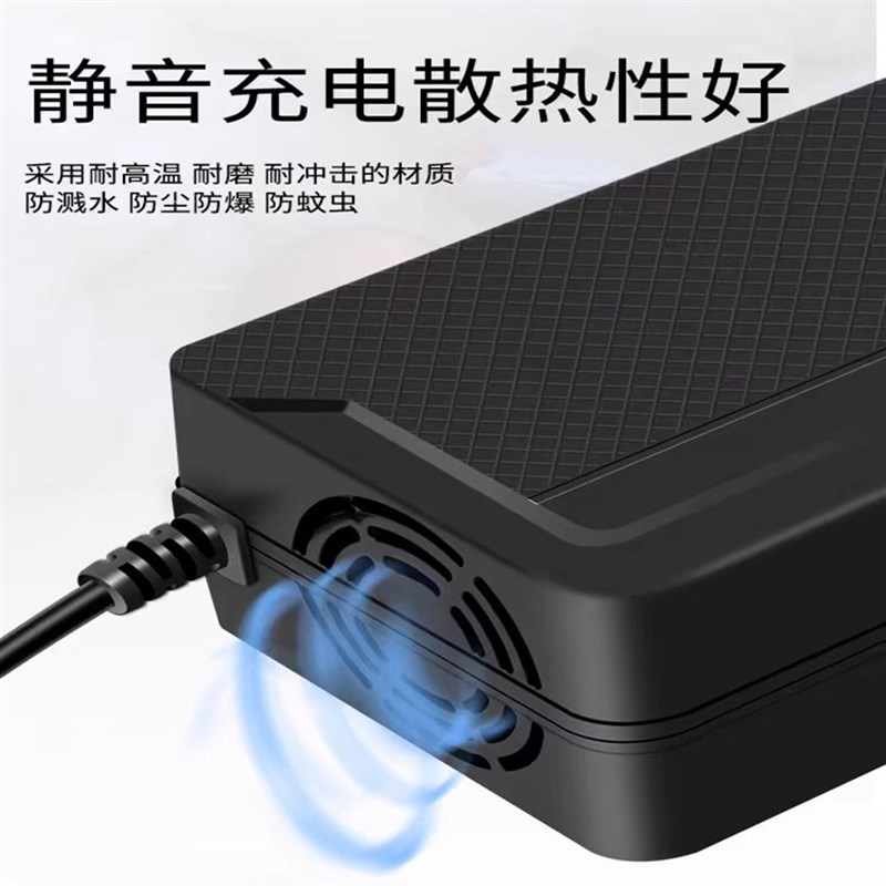 通用上海贝珍好哥电动轮椅车t锂铅酸电池充电器配件24V12 20AH