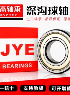 日本JYE进口高速轴承6038 6040 6044 6048 6052 6056M C3 C4 电机