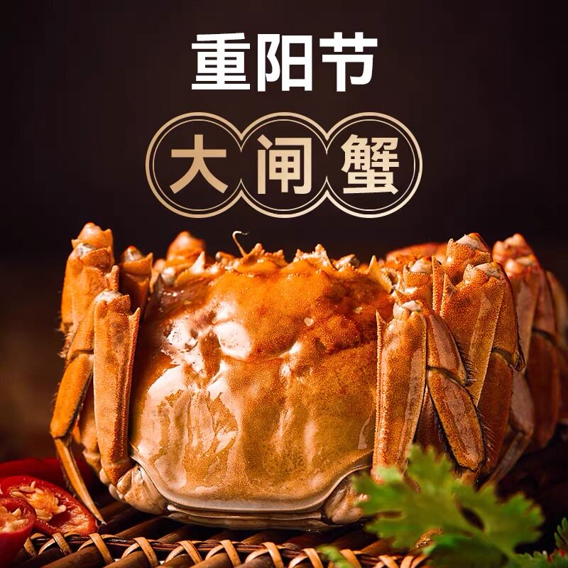 金秋福利大闸蟹5公5母顺丰生鲜发货 纸箱装
