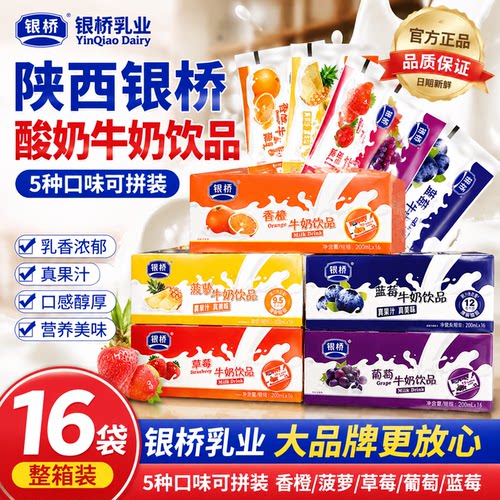 银桥酸奶牛奶草莓酸奶