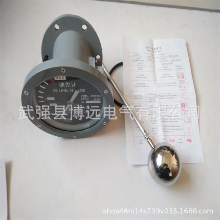变压器指针油位计  YZF2-90 YZF2-140YZF2-200YZF2-250指针式油枕图片