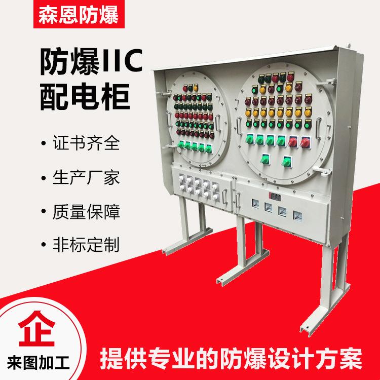 防爆动力检修插座配电柜PLC可编程控制柜石油化工IIC配电柜厂家