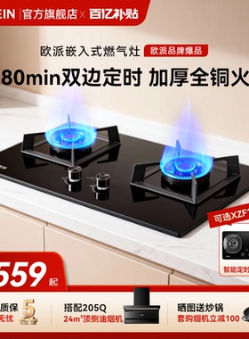 欧派(OPPEIN)煤气灶双灶家用燃气灶嵌入式台式炉节能猛火炉具QS