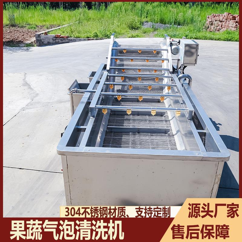 果蔬气泡清洗机粽叶桑葚蓝莓去农残清洗设备商用叶类蔬菜洗菜机
