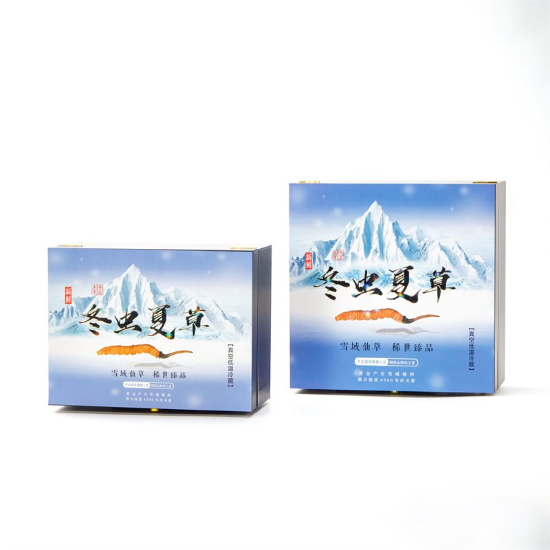雪域新鲜虫草包装盒蓝色鲜虫草礼品盒保温盒保温箱冬虫夏草冷藏盒