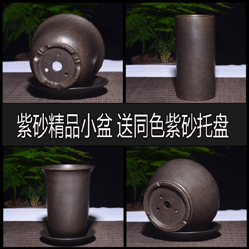 宜兴紫砂花盆精品盆多肉花盆盆兰花植物盆景盆菖蒲盆
