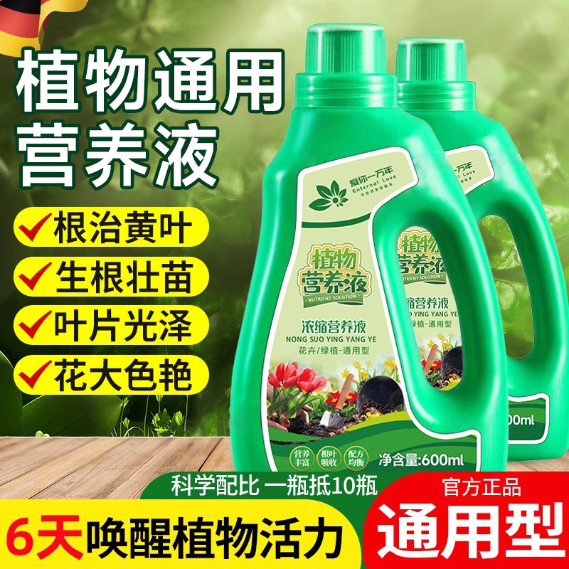 德国鲜花营养液植物通用室内盆栽发财树绿萝花卉多肉富贵竹