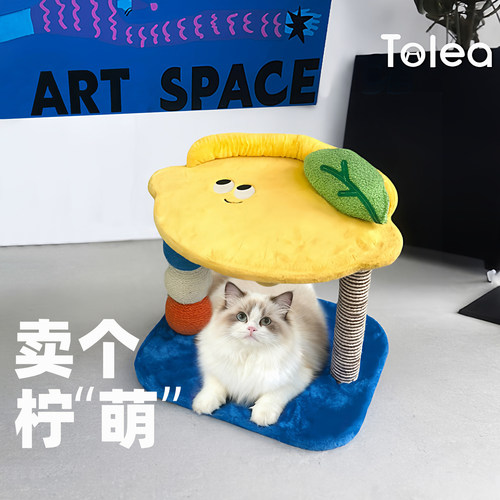 【大猫可用】小型猫爬架猫窝一体