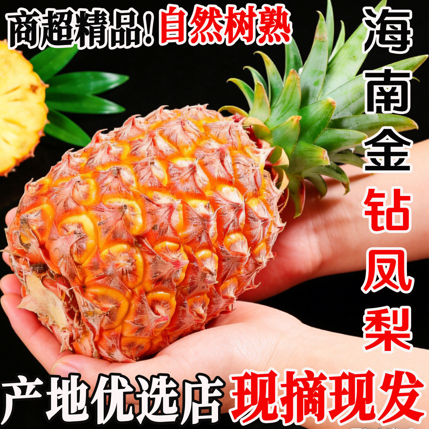 正宗海南金钻凤梨新鲜中果树上自然熟多汁超甜不需挖眼可手撕水果