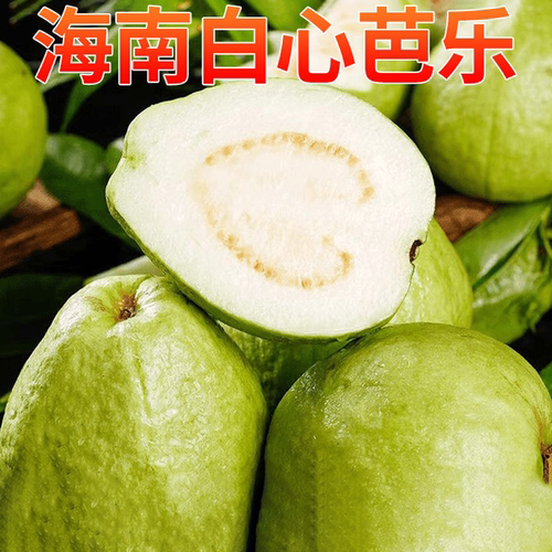 海南芭乐水果新鲜包邮