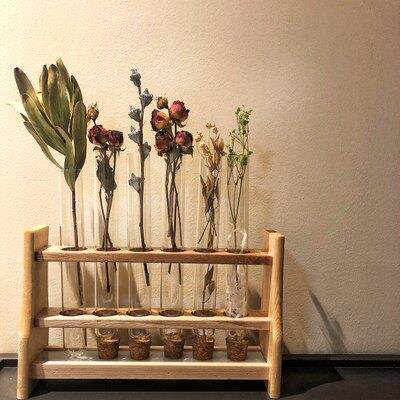 木质展示架玻璃试管带木塞+木架套装绿植水培