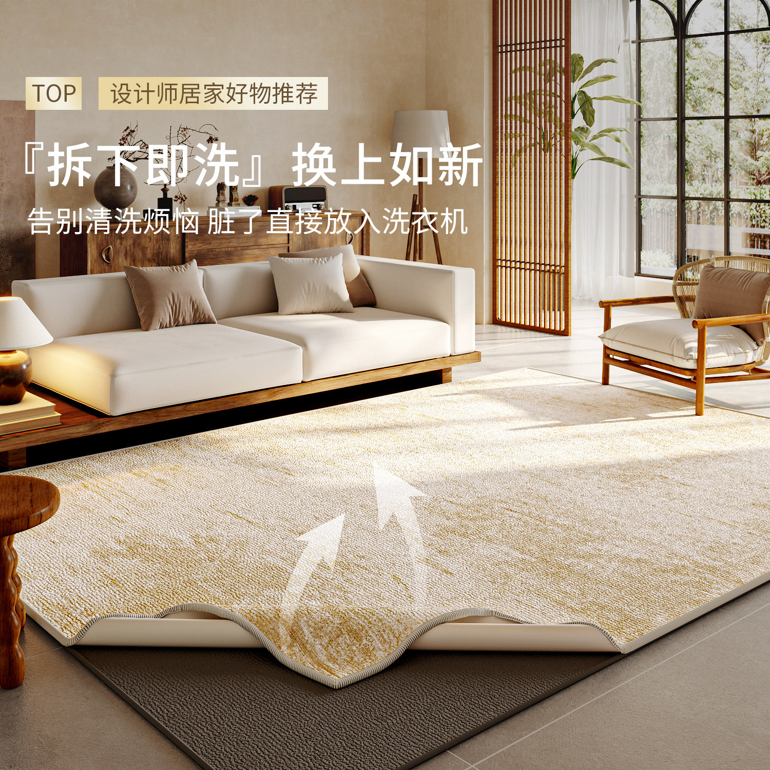 可拆洗地毯客厅可机洗2026新款轻奢高级感双层可拆卸卧室床边地垫