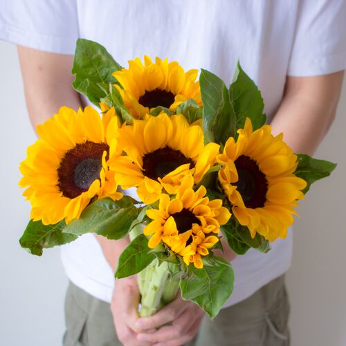 云南向日葵鲜花直发花束向阳花室内水培植物插花装饰鲜切花瓜子花