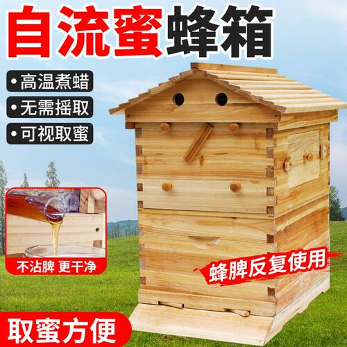 蜂大哥自流蜜蜂箱全套中