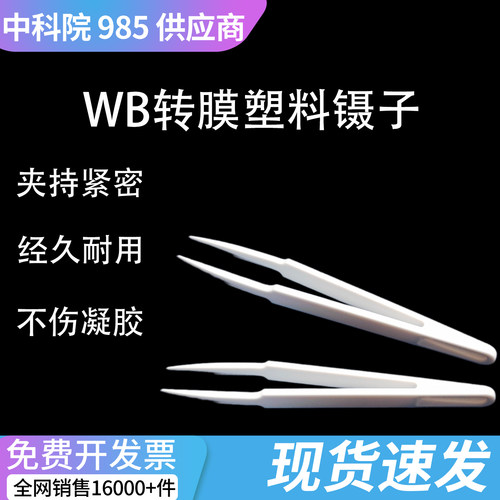 WB夹膜镊子尖头塑料镊子