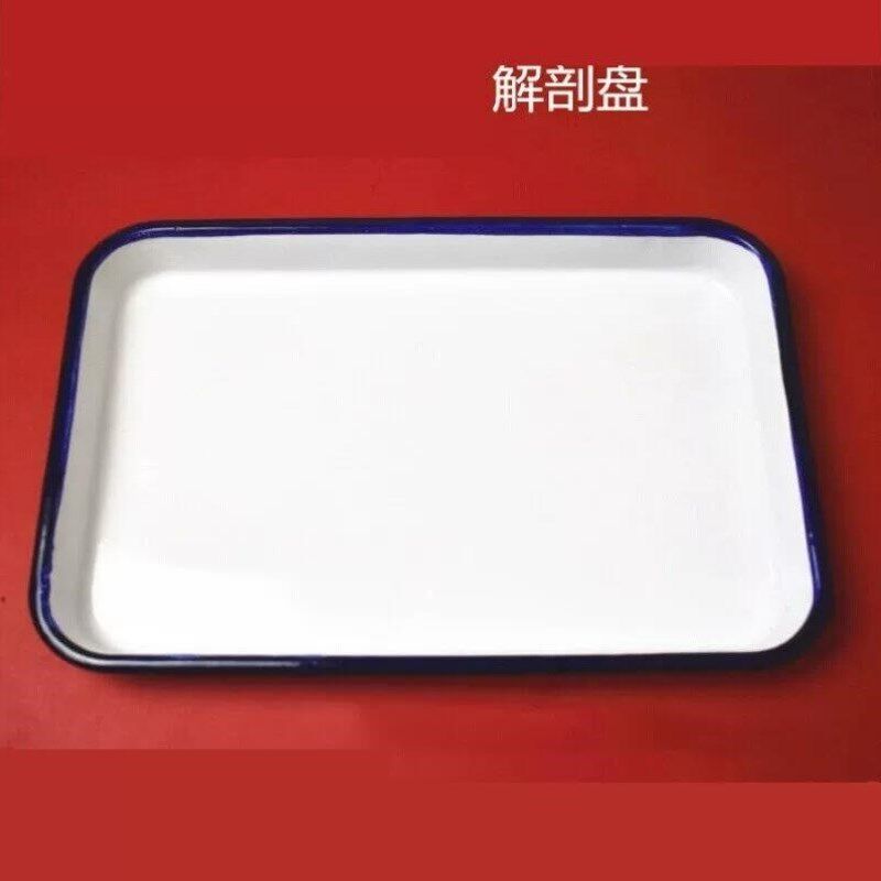 解剖托盘搪瓷方盘生物实验室解剖盘乳白色托盘教仪器教具实验器