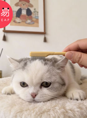 泪痕梳A1zfn001-宠物眼部泪痕用梳子小型犬猫咪眼屎清洁用刷子