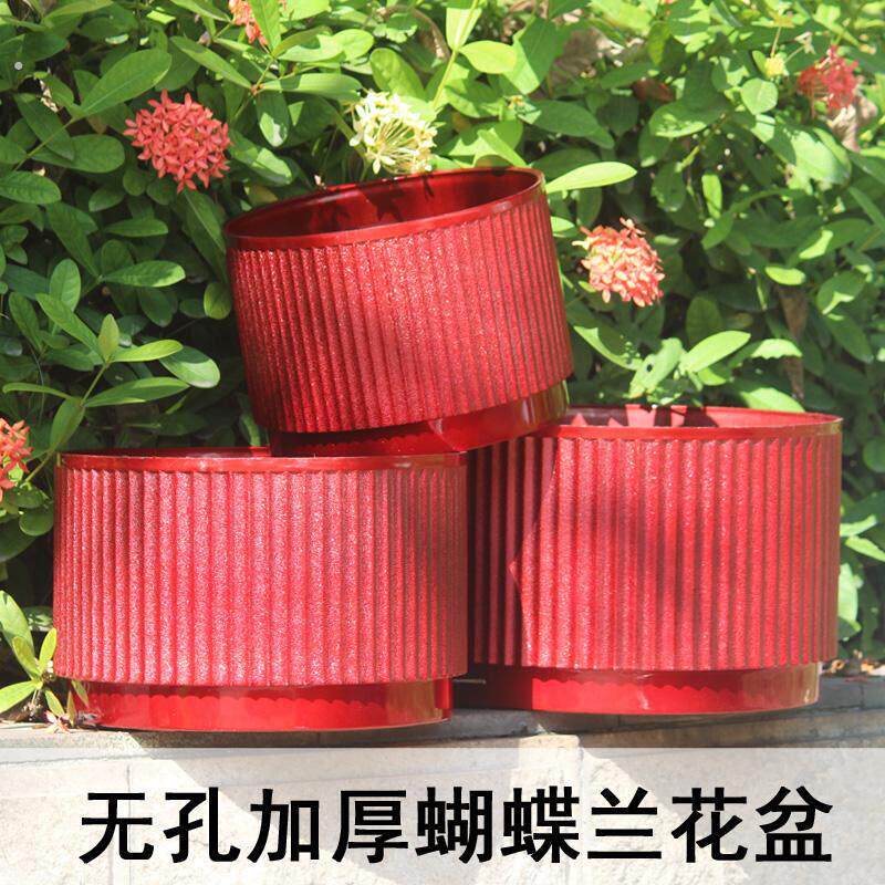 君子兰蝴蝶兰专用盆升级塑料加厚喜庆简约欧式大红色家居装饰摆件