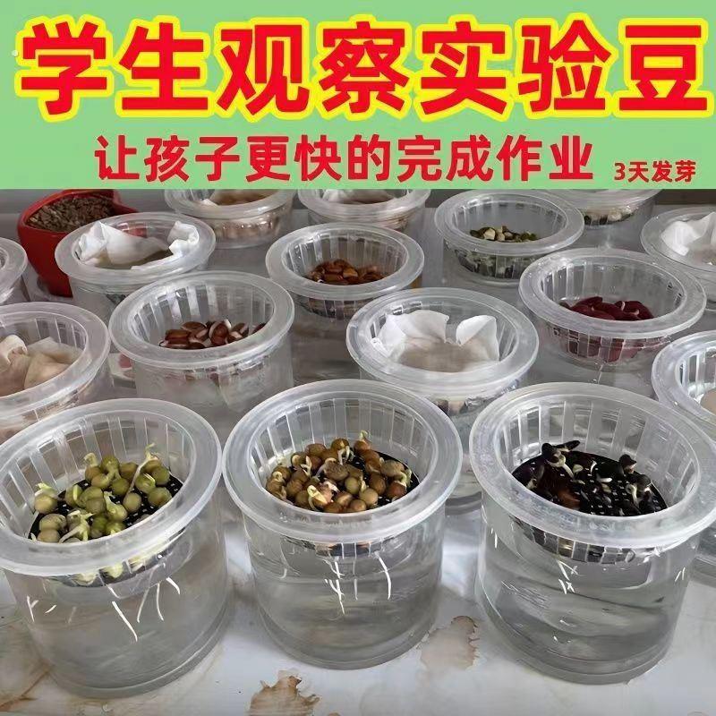 水培网格盘水培育苗盘育苗盒带盖子育秧苗盘豆芽发芽盆多层无土栽