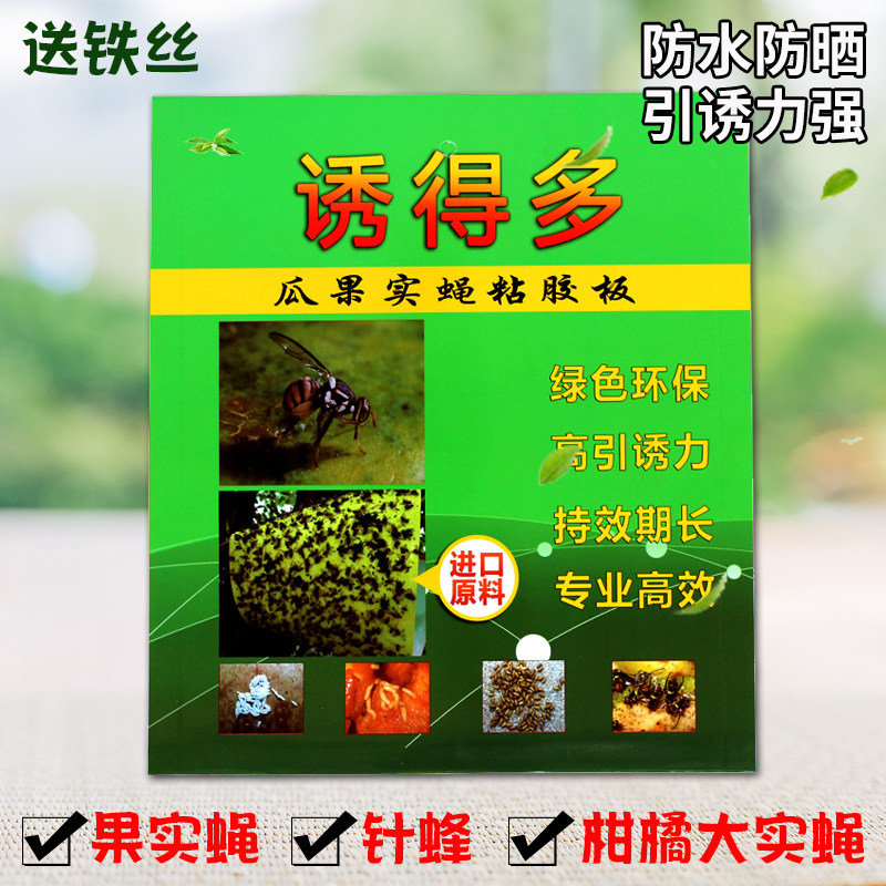 诱得多实蝇粘胶板针蜂粘果蝇贴果园苍蝇蜜蜂贴瓜果树粘蝇板果实蝇