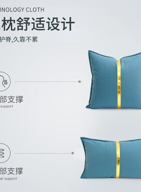 新款科技布橙色沙发抱枕靠枕靠垫腰垫咕臣客厅现代简约高端定制