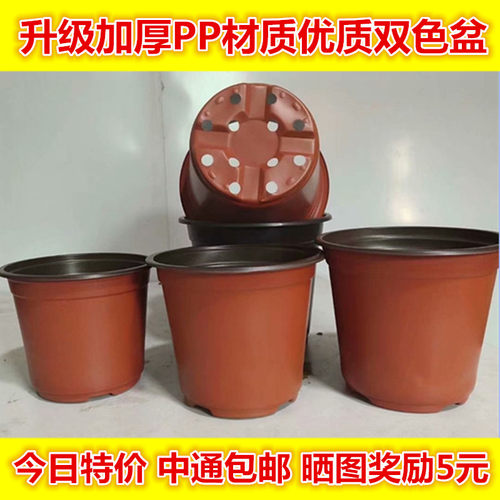 加厚优质双色花盆一次性塑料外红内黑一次性育苗杯营养钵多肉大号