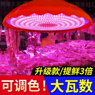超亮卖冷鲜肉专用水果led生鲜灯猪肉熟食超大红买肉摊海鲜市场灯