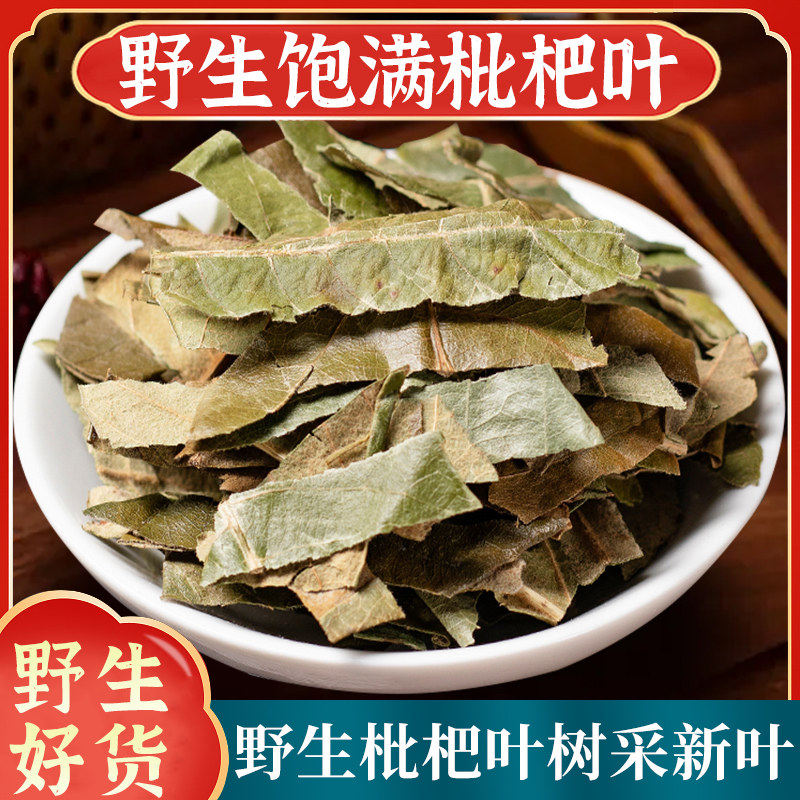 精选野生枇杷叶中药材正品500g新鲜干货枇杷树叶琵琶叶泡水批把叶