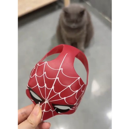 万圣节搞笑猫咪蜘蛛侠面具