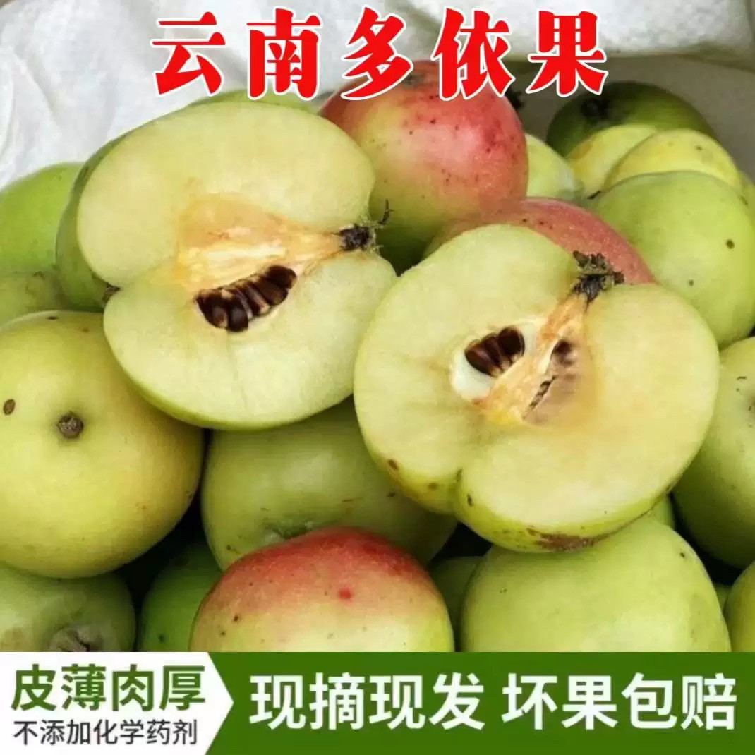 云南酸多依高山野生侈依新鲜现摘渣子果孕妇吃的酸水果哆依果包邮